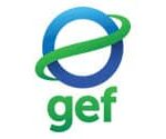 gef_